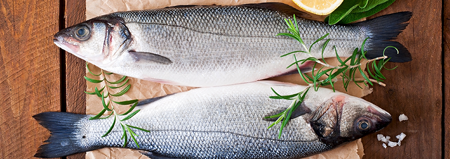 A importância do consumo de peixe na perda de peso